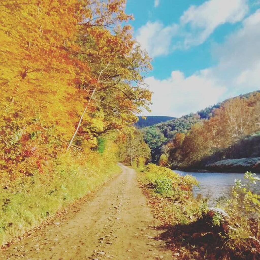 Photo: Pine Creek Gorge Photo: Pine Creek Gorge