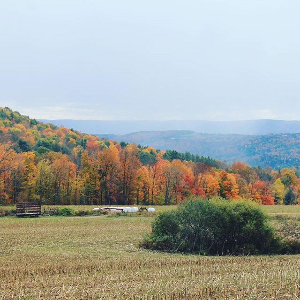 Photo: Below Mount Pisgah