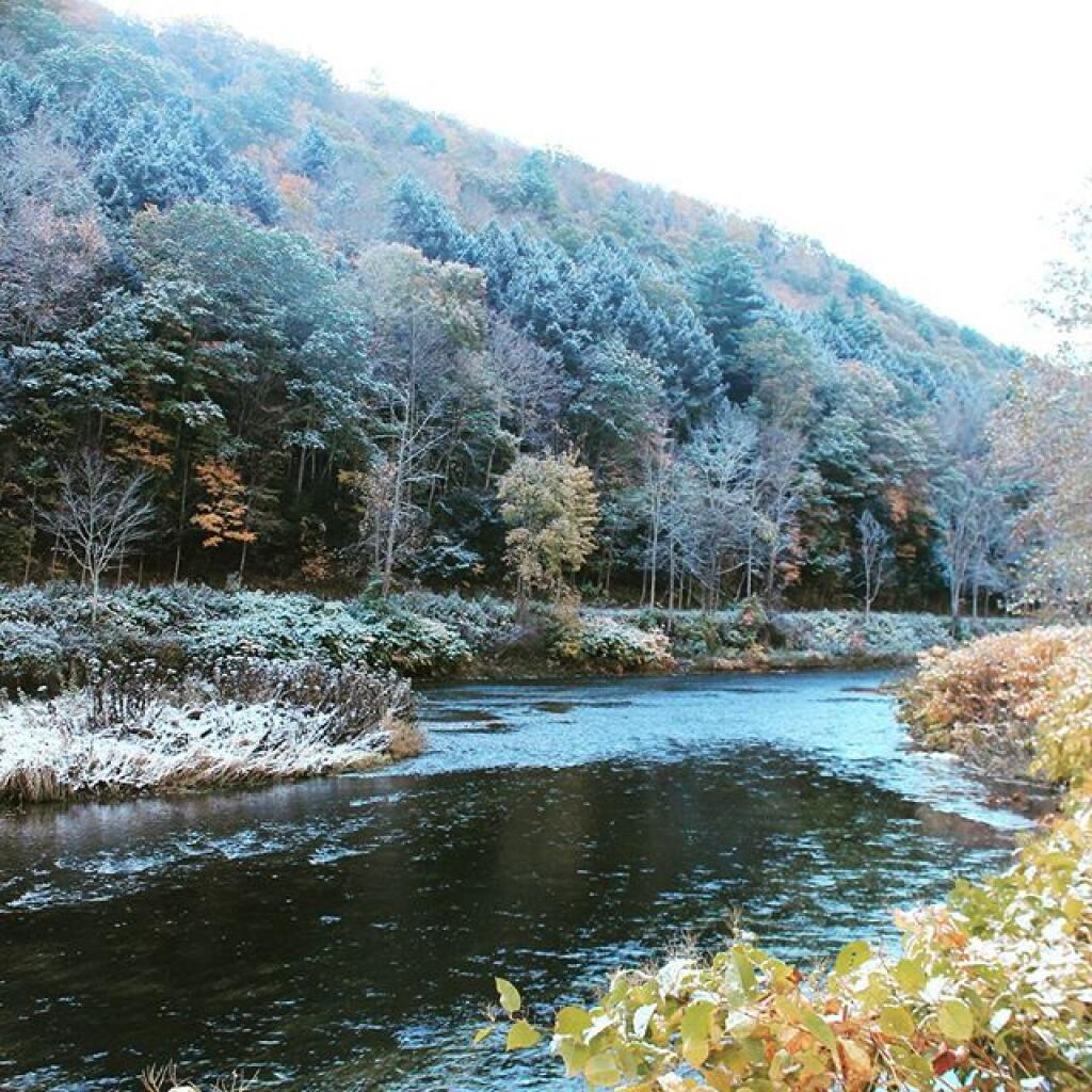 Photo: Frosty Pine Creek Photo: Frosty Pine Creek