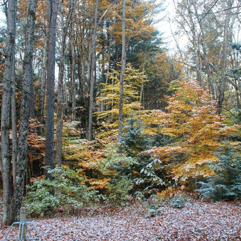 Photo: Dusting of snow