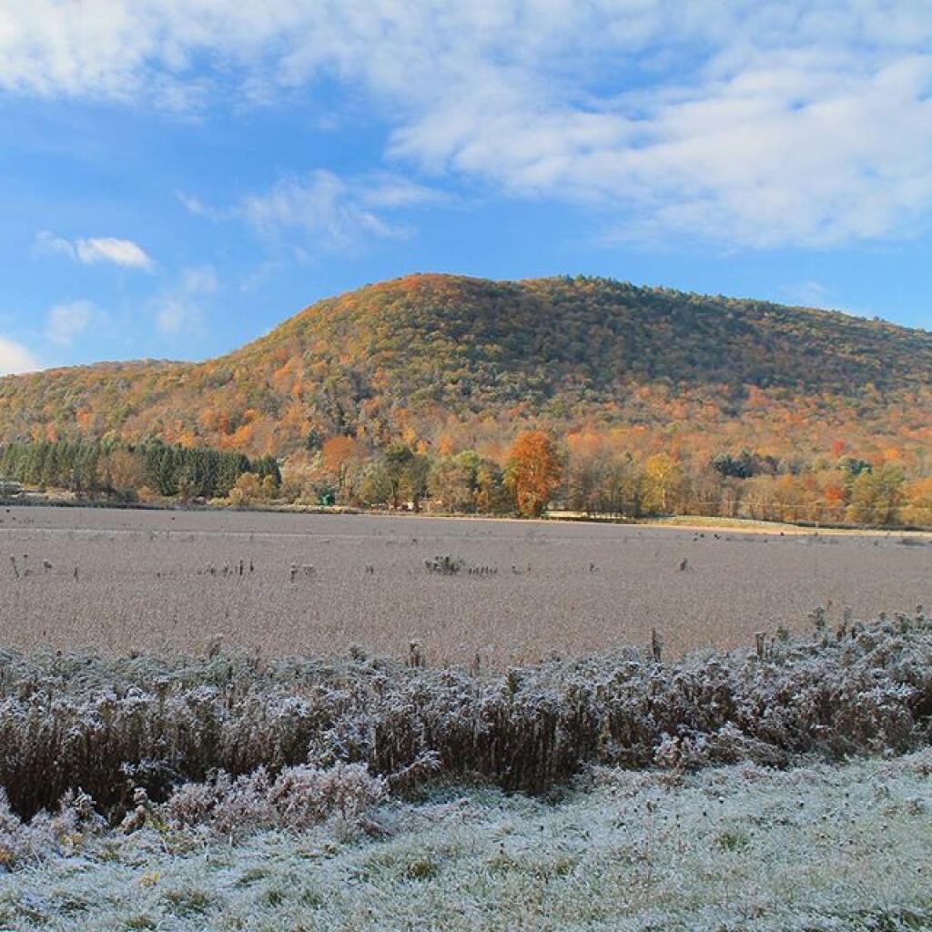 Photo: Frosty morning in Ansonia