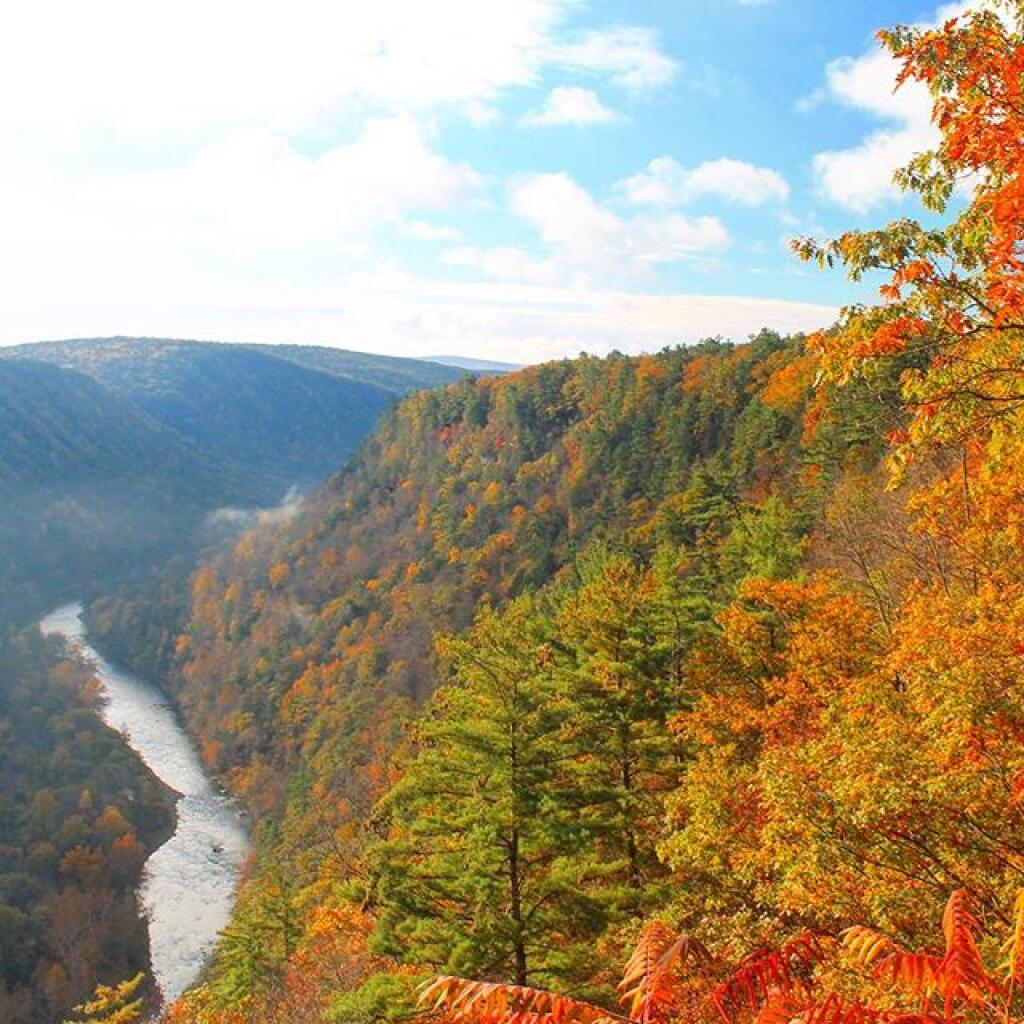 Photo: When the colors of fall fade