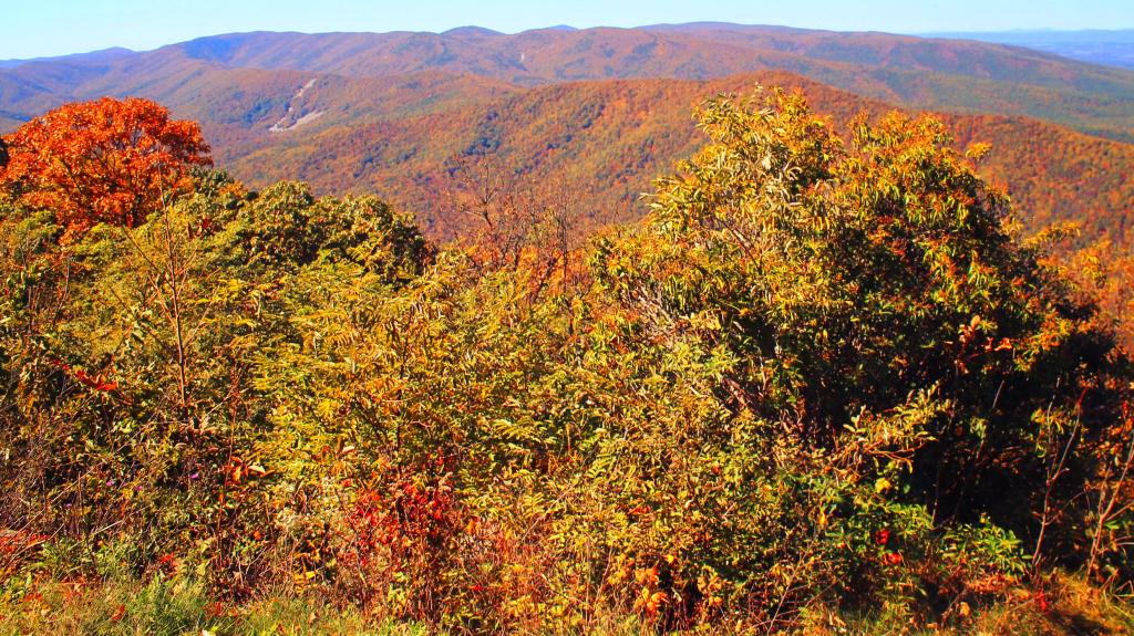 Photo: Stony Ridge