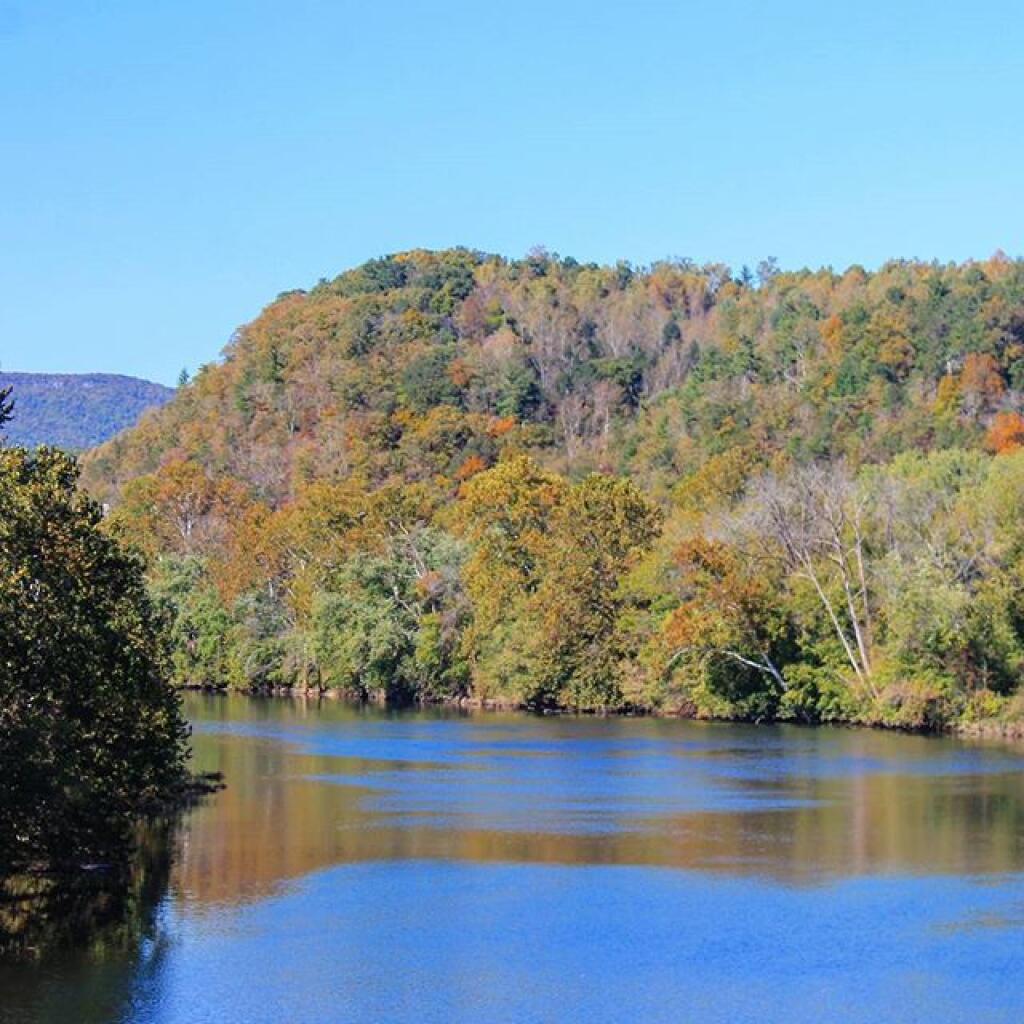 Photo: Along the banks of the James River