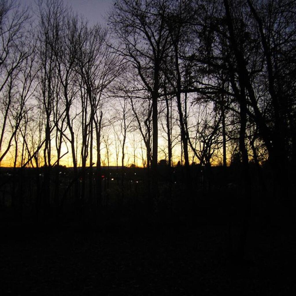 Photo: Dusk