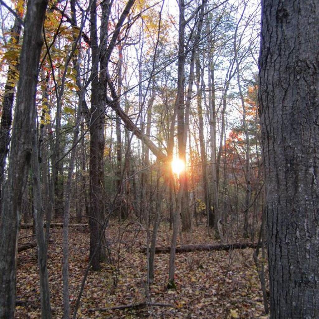 Photo: Late afternoon