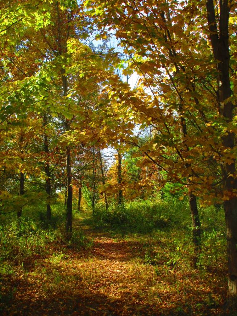 Photo: Untitled Photo: Untitled