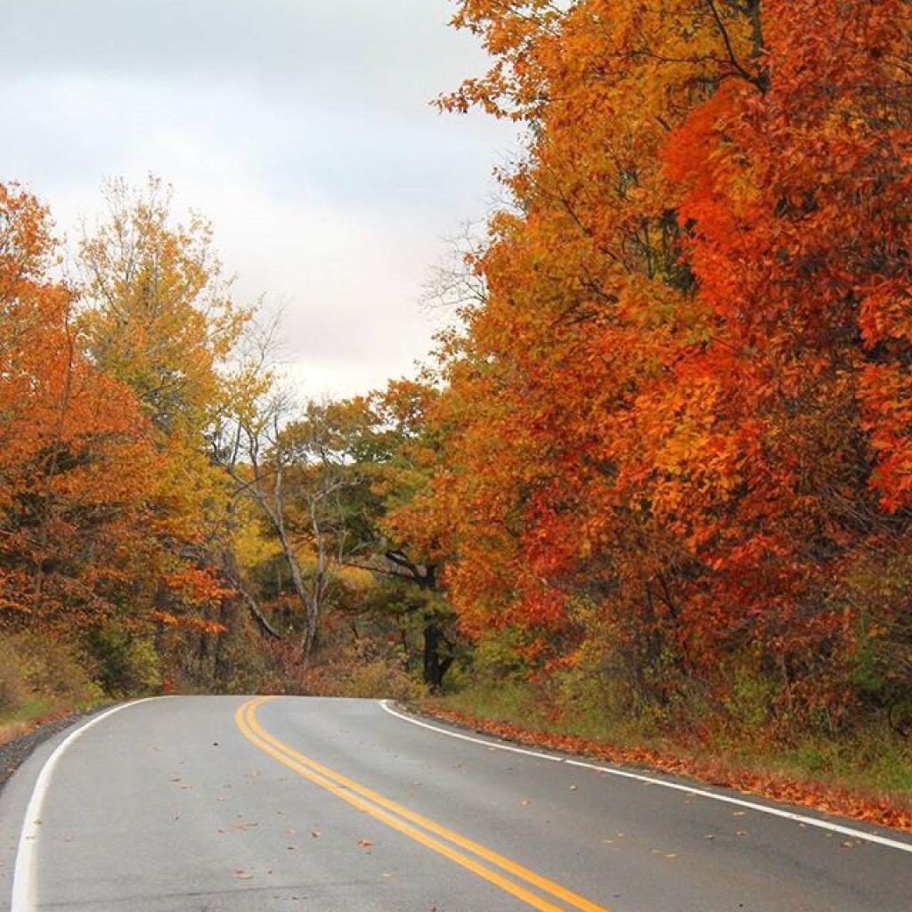 Photo: Ravine Road