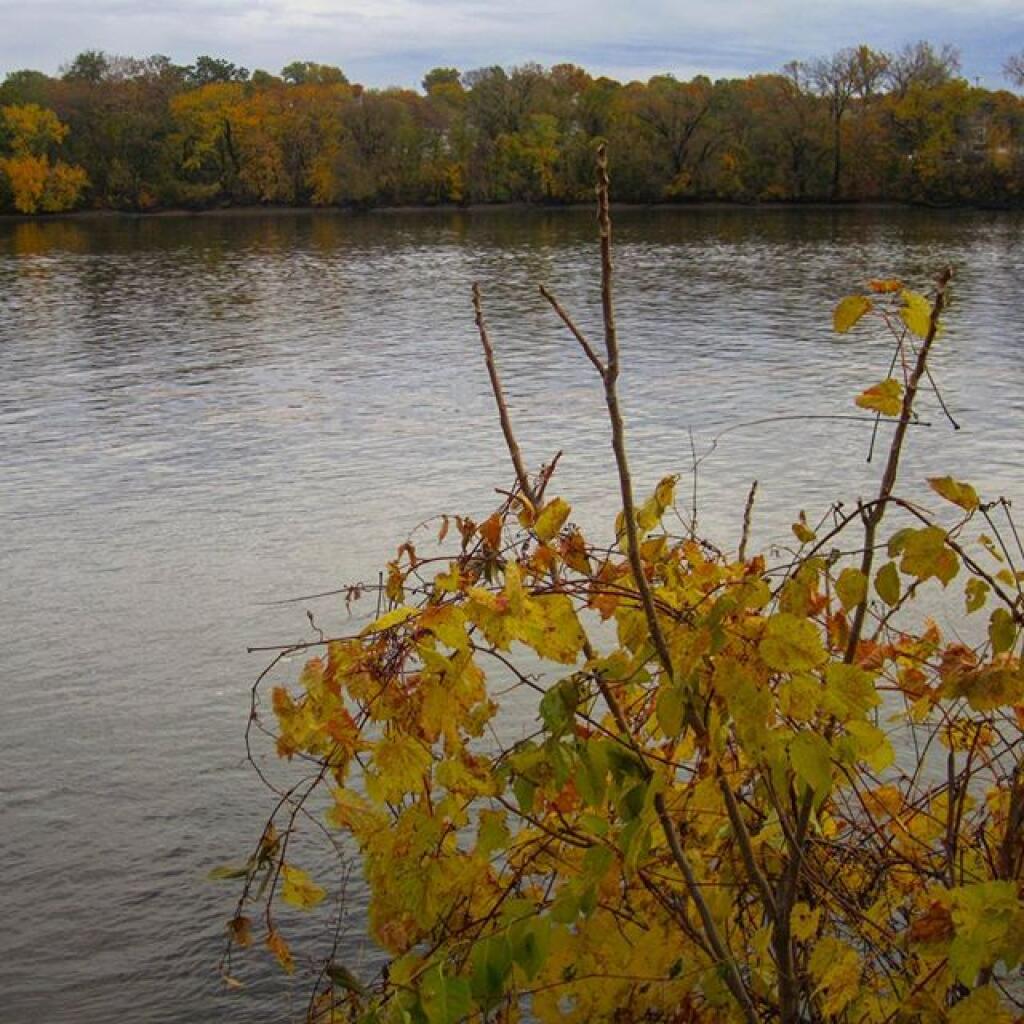 Photo: Hudson River