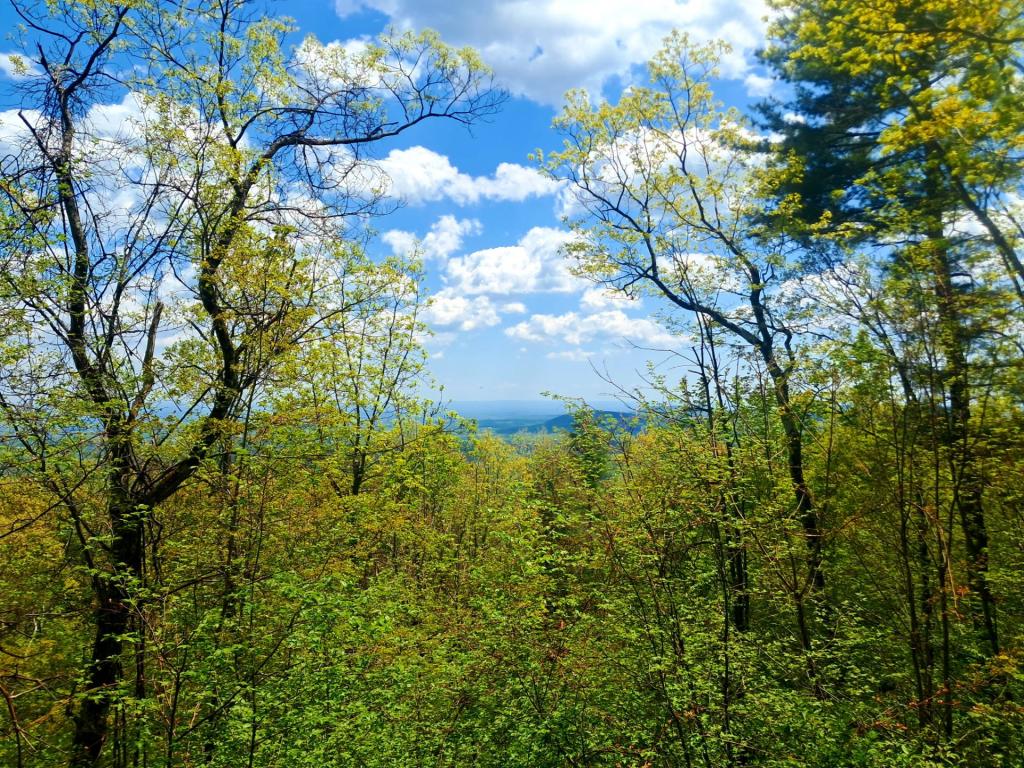 Photo: Copeland and Bennett Hill [Expires May 31 2026]