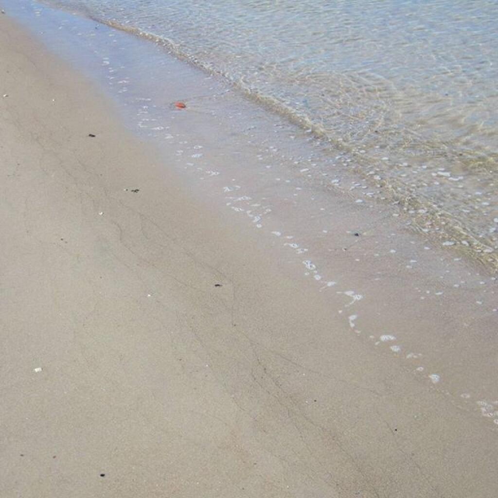 Photo: Shore