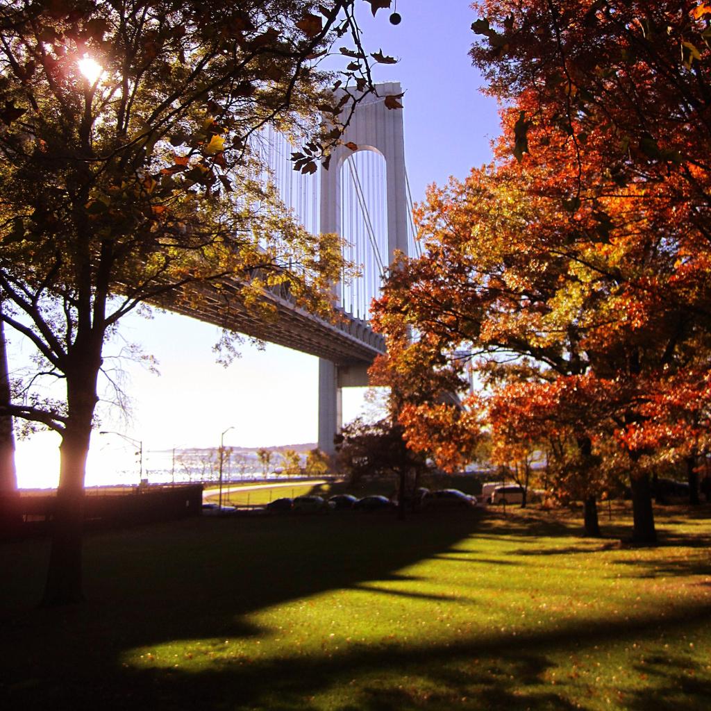Photo: Verrazano Narrows Bridge