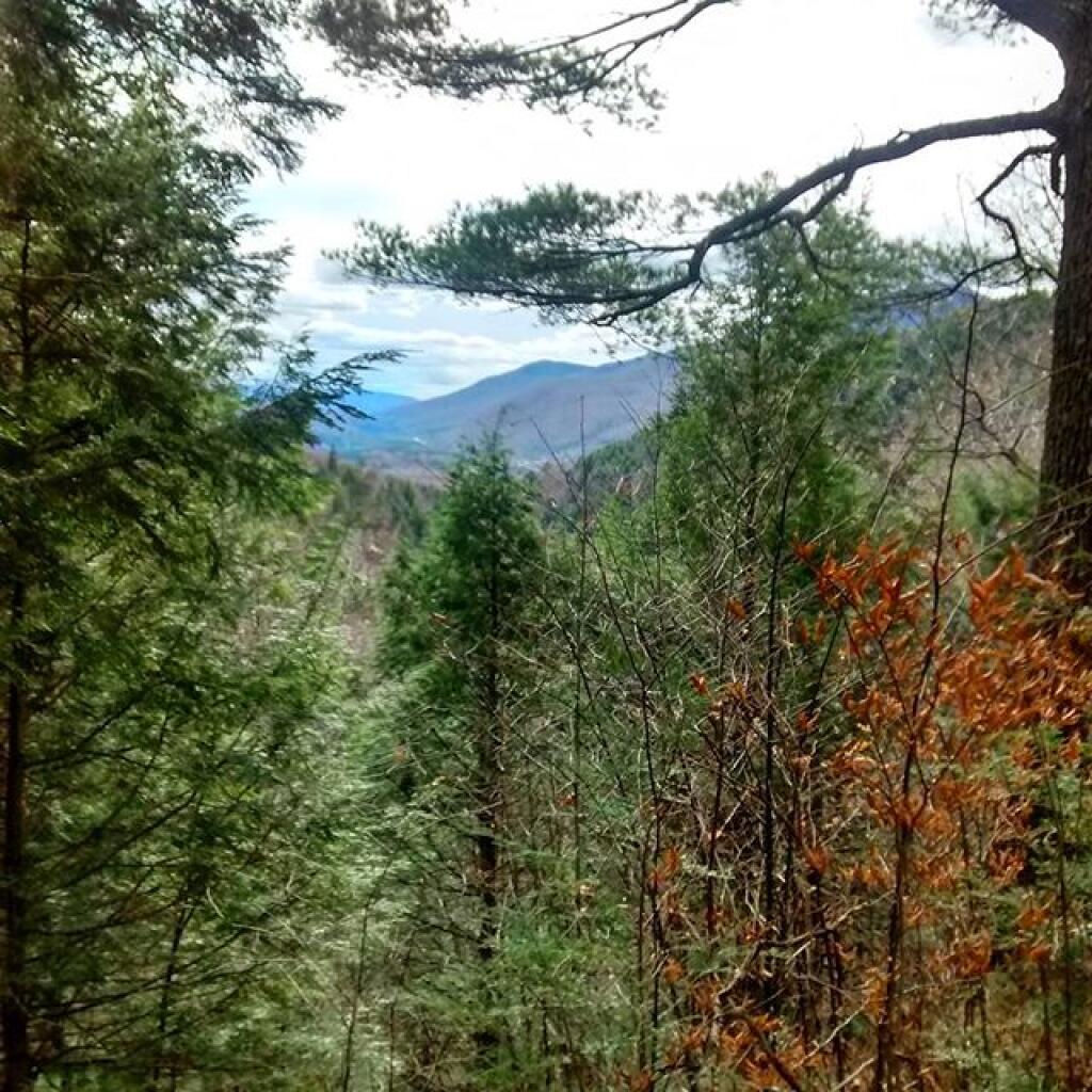 Photo: Big Branch Overlook