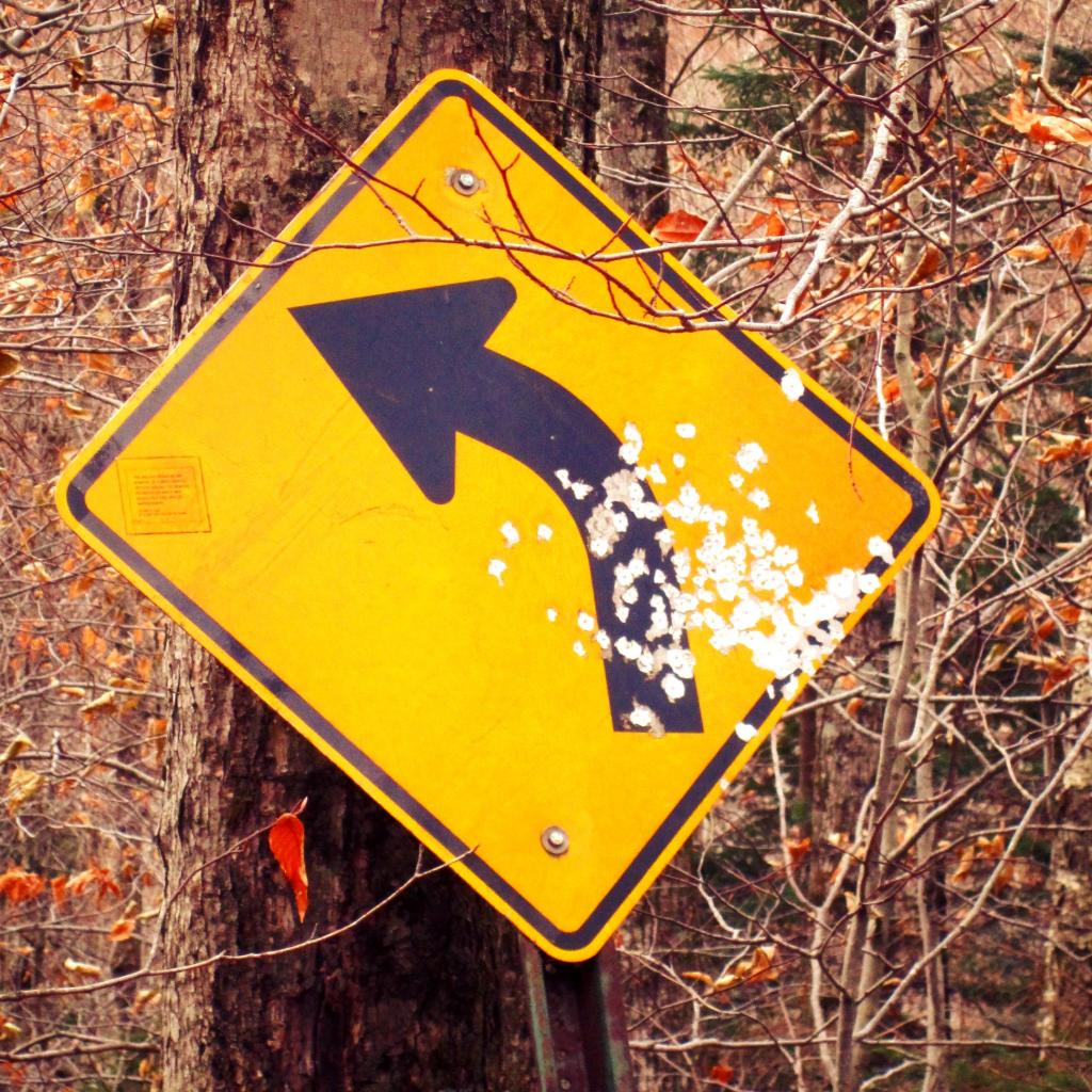Photo: The more bullet holes in a road sign, the nicer the area