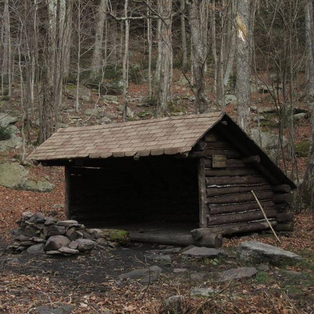 Photo: Big Hollow Lean-to Photo: Big Hollow Lean-to