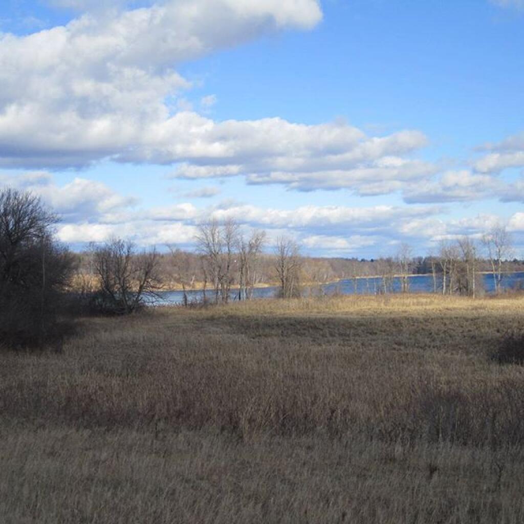 Photo: Nature Trail View