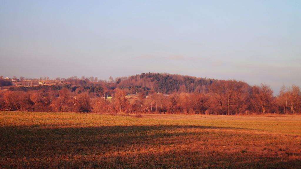 Photo: Field