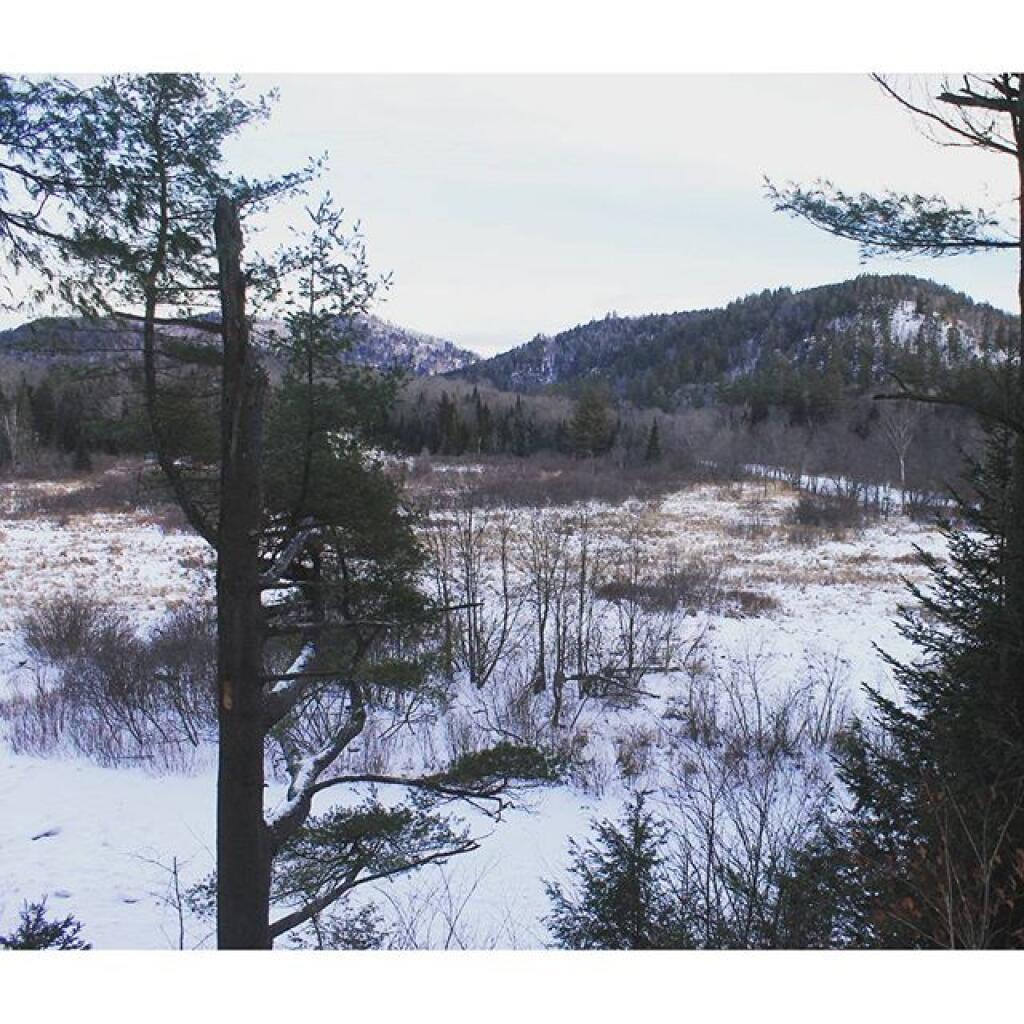 Photo: View from Fox Lair Campsite