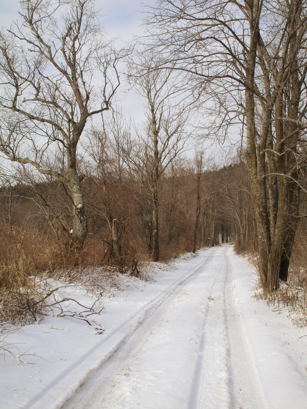 Photo: Tracks