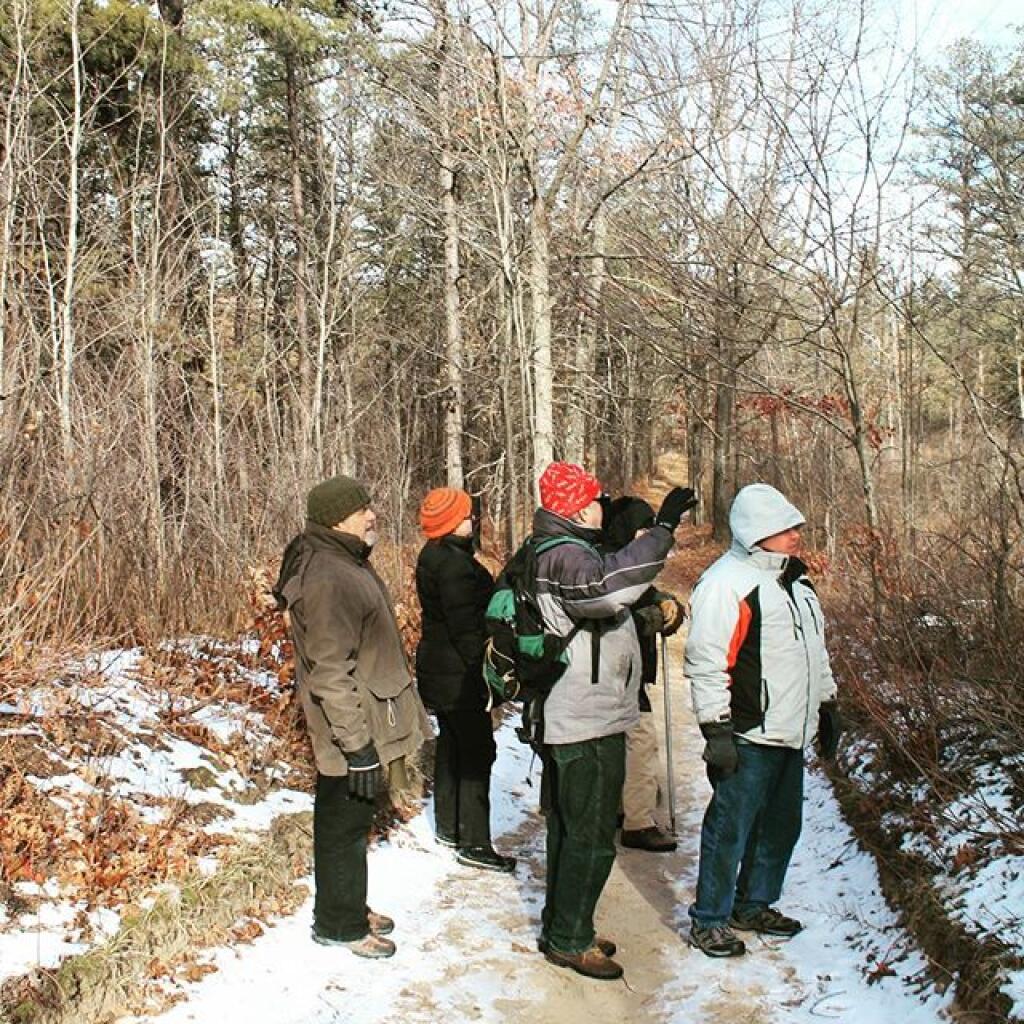 Photo: Pine Bush Hike
