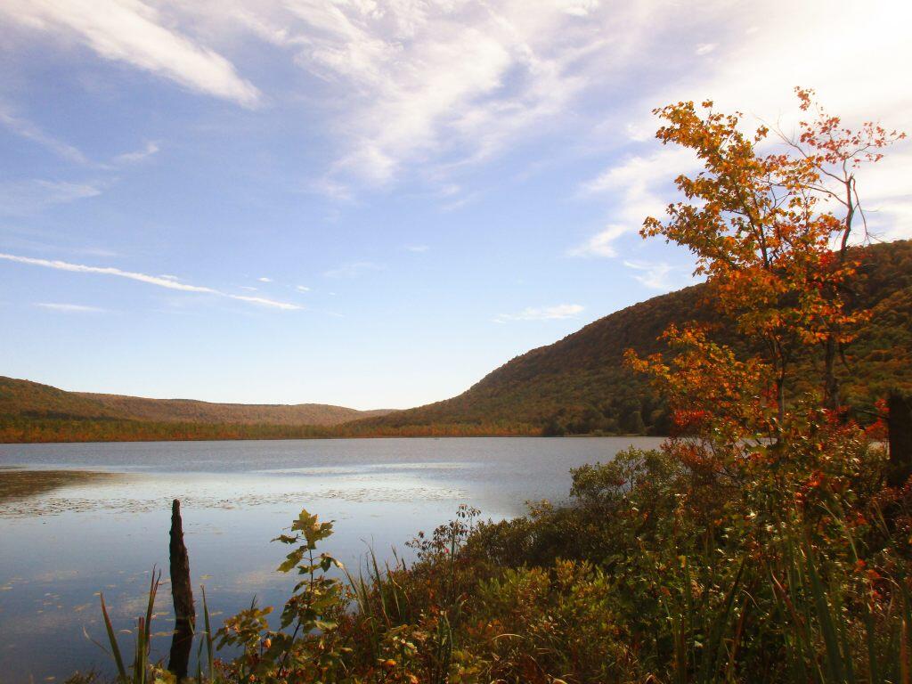 Photo: Autumn Afternoon