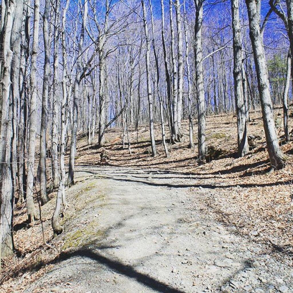 Photo: Old Copeland Hill Road