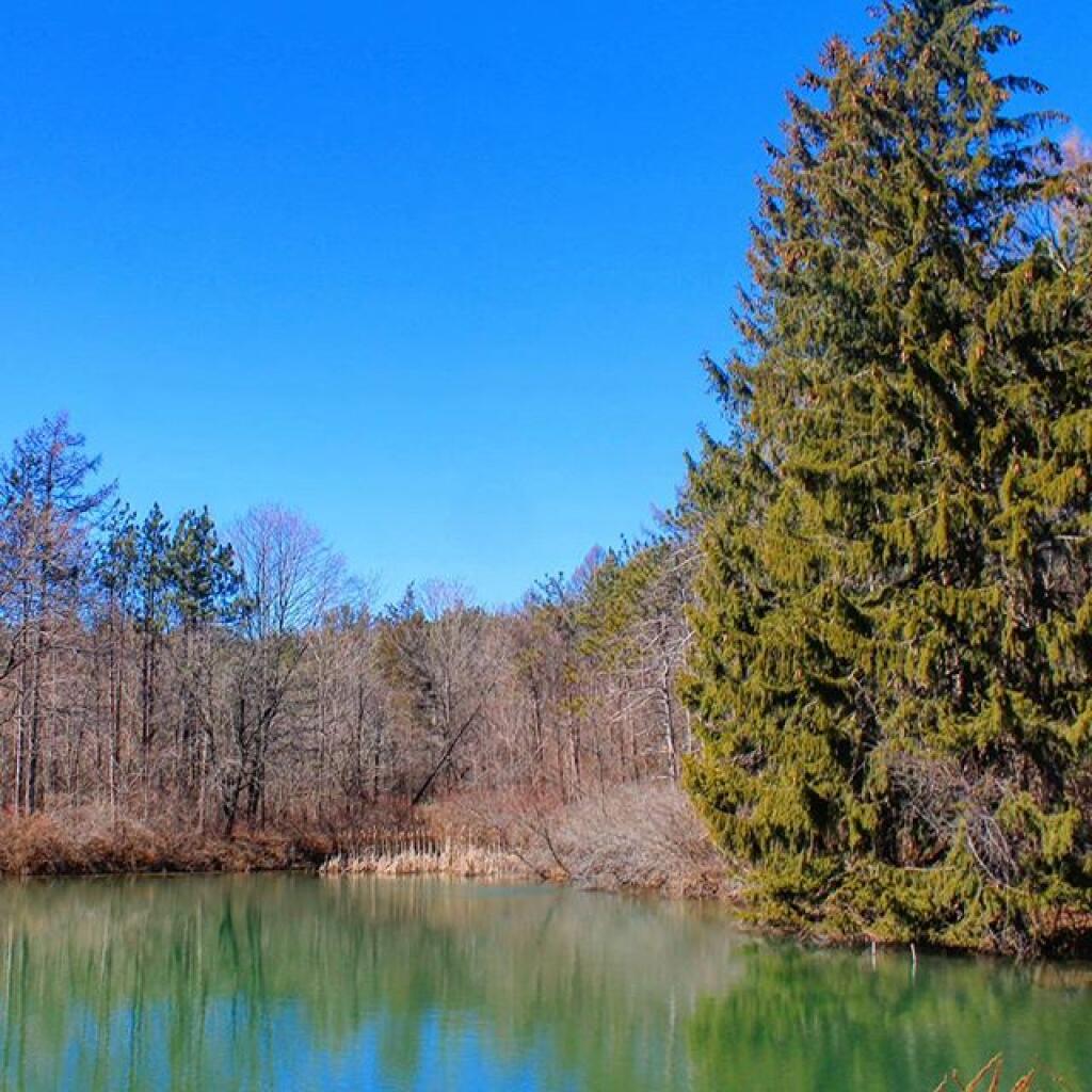 Photo: Old Farm Pond