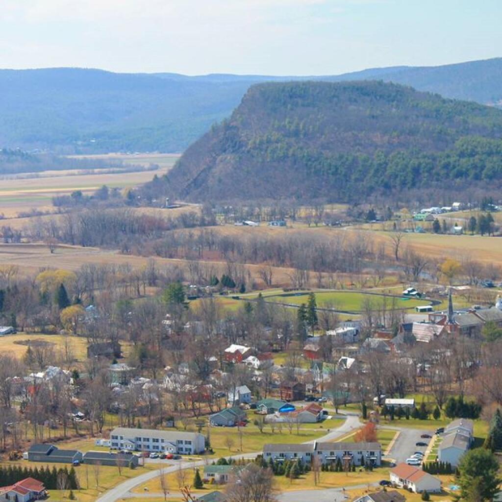 Photo: Vormans Nose sniffs out Middleburgh