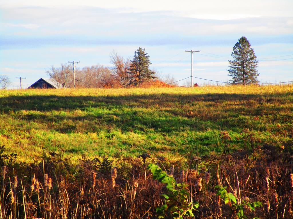Photo: Meads Road