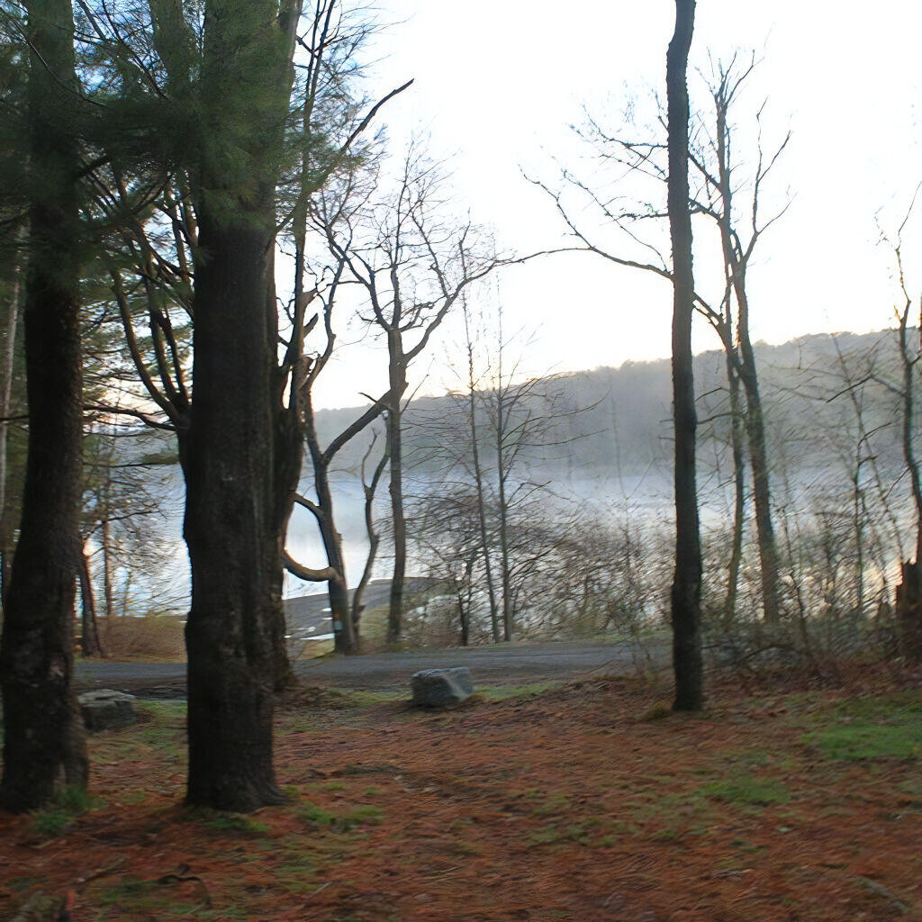 Photo: Stoney Pond