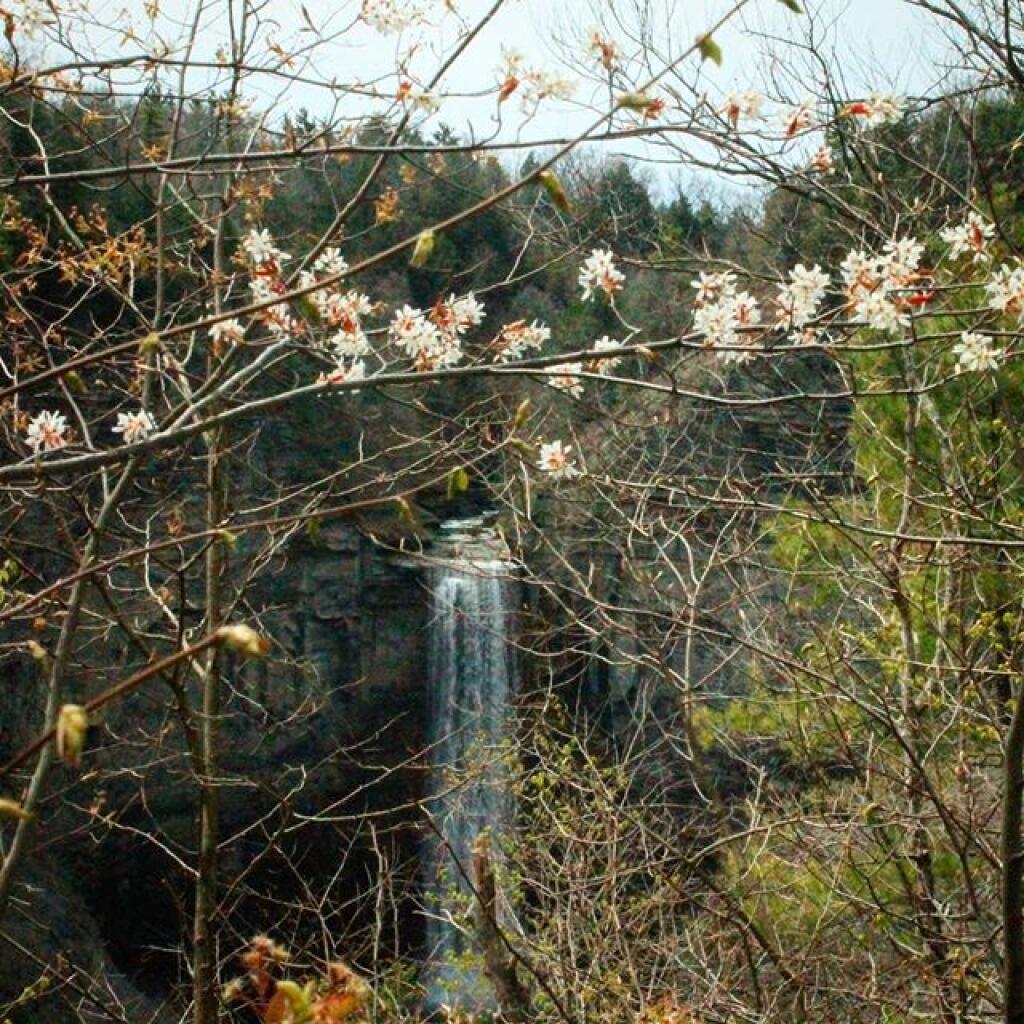 Photo: Spring will arrive