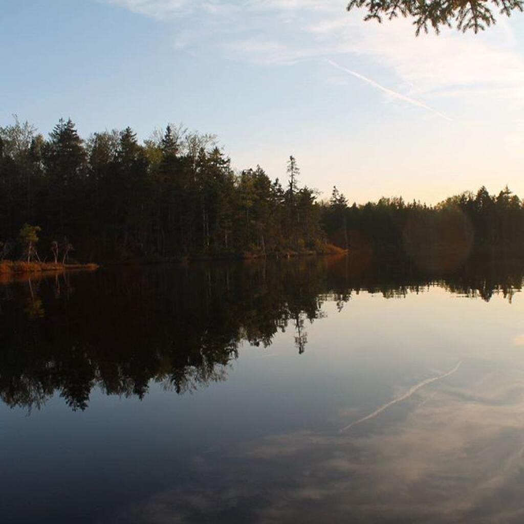 Photo: Down by the Pond