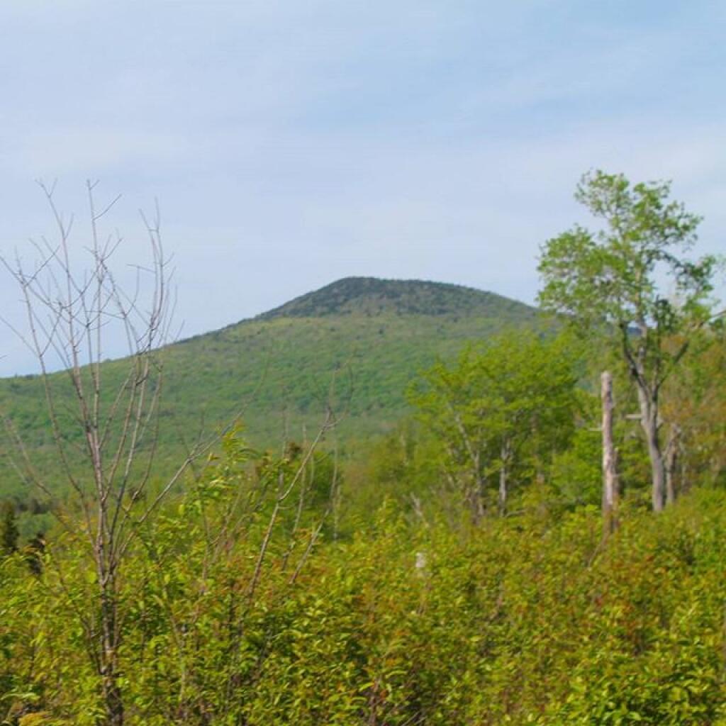 Photo: Stratton Mountain