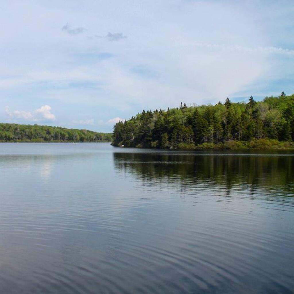 Photo: Grout Pond