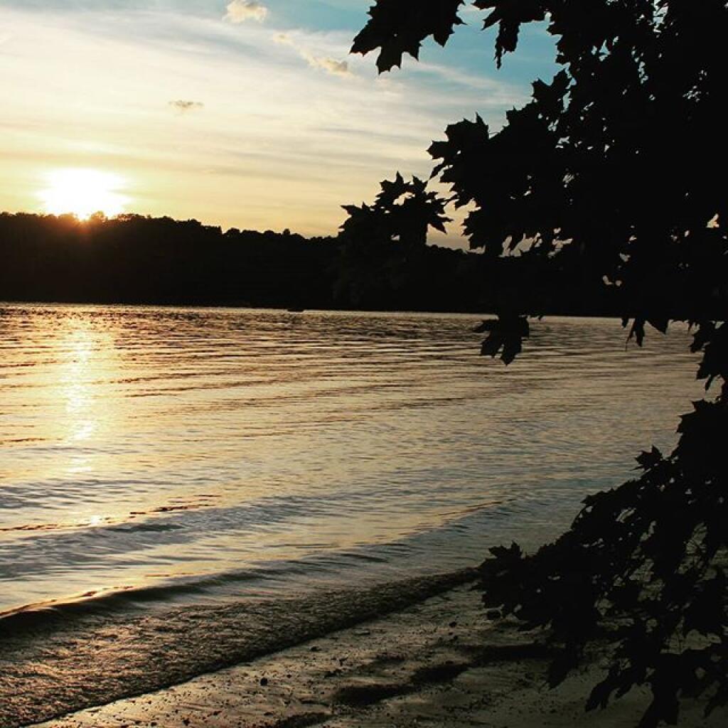 Photo: Evening