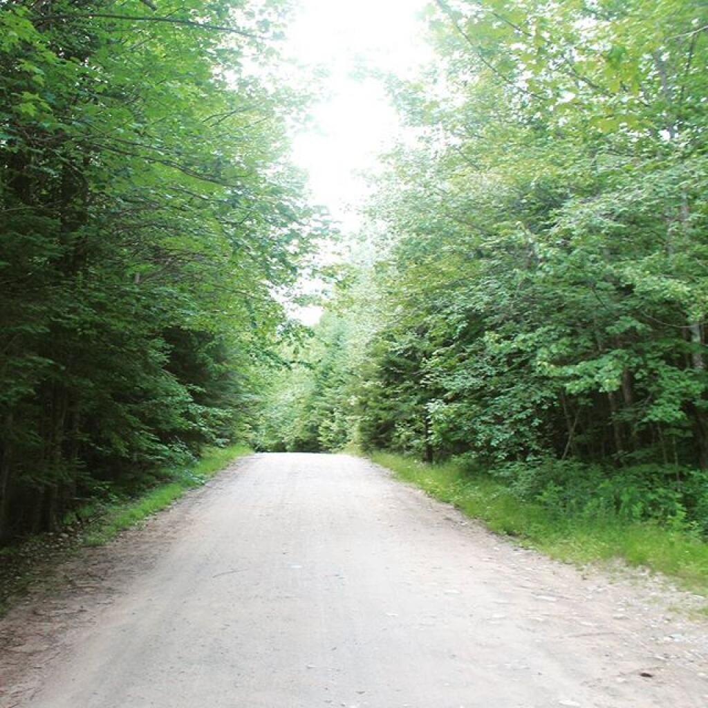 Photo: Cedar River Limekiln Lake Road