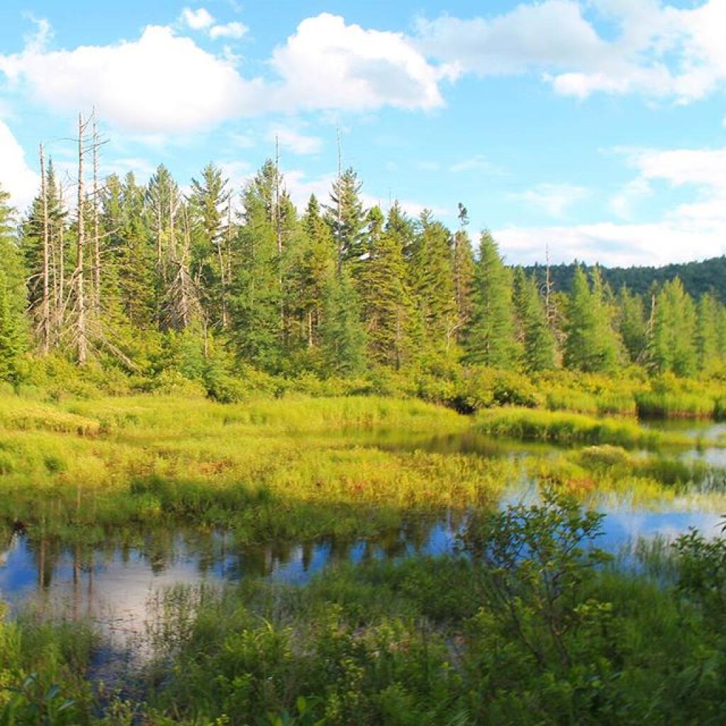 Photo: Red River