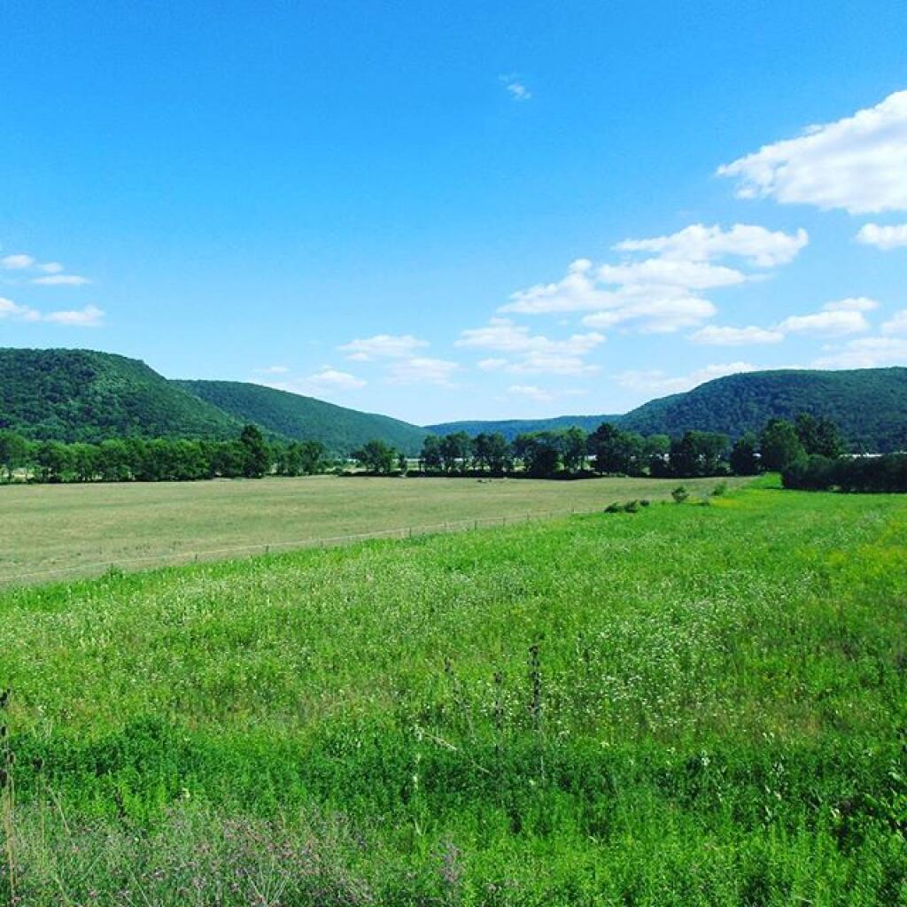 Photo: Cayuta Valley