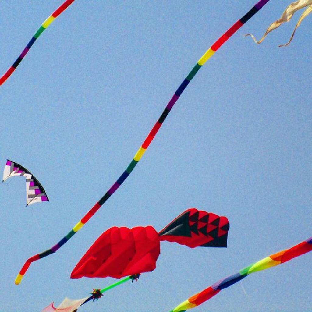 Photo: Beach Kites