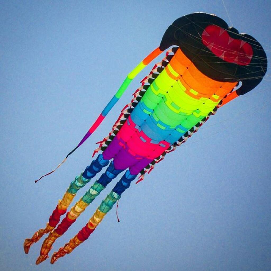 Photo: Flying Creature Kite