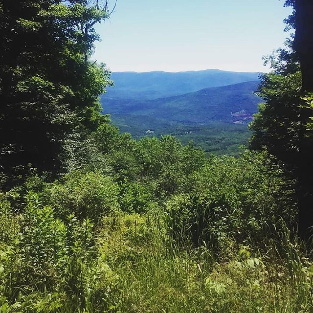 Photo: Decided to do a quick jaunt up the mountain