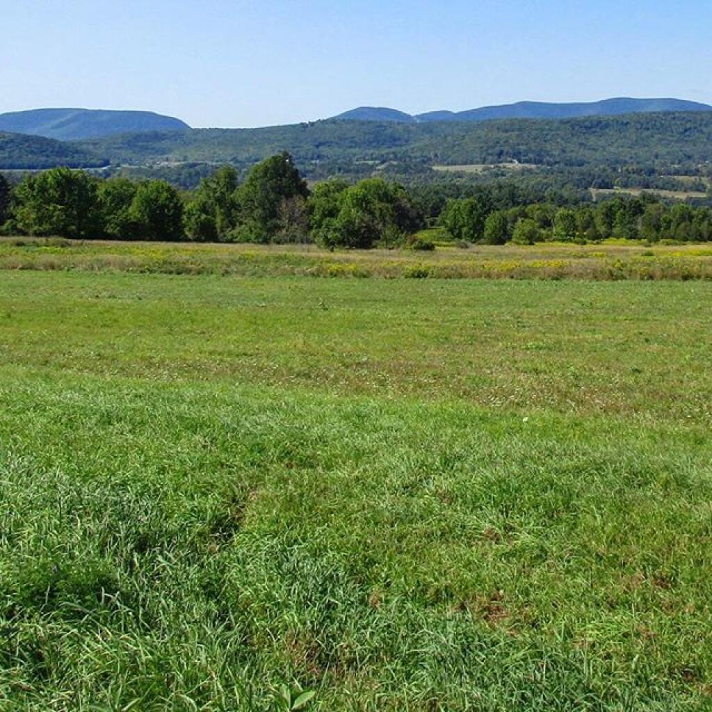 Photo: Field