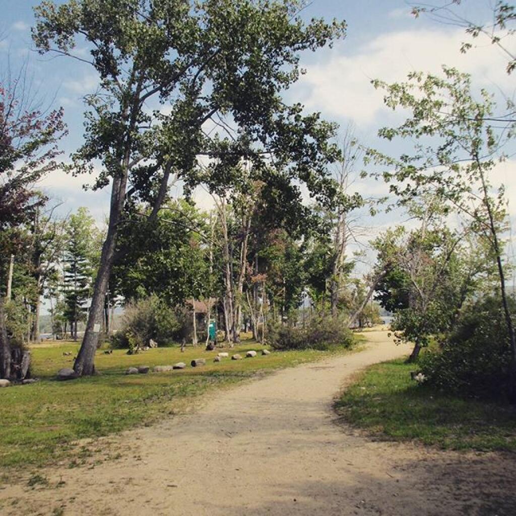 Photo: Picnic area