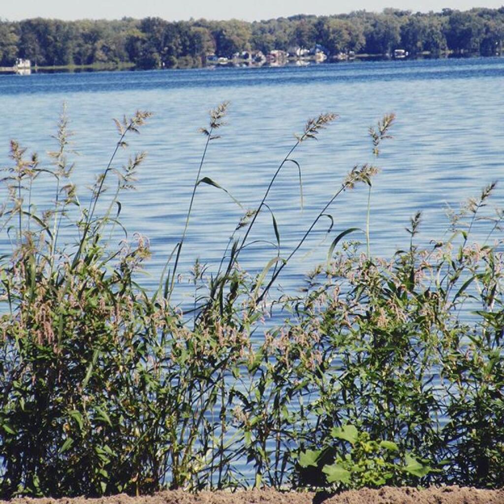 Photo: Shoreline