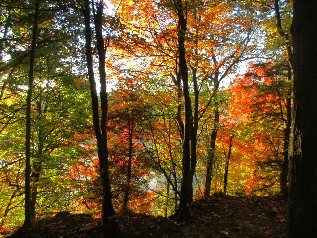 Photo: Above The Lake