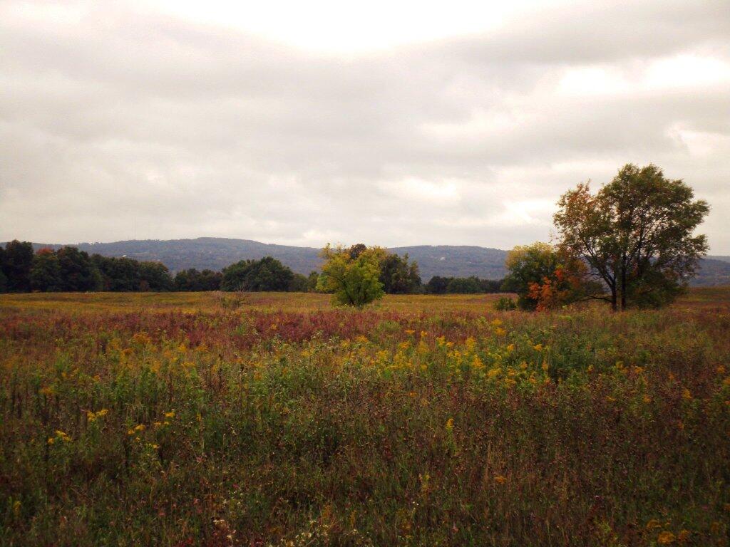 Photo: Hills Of Pompey