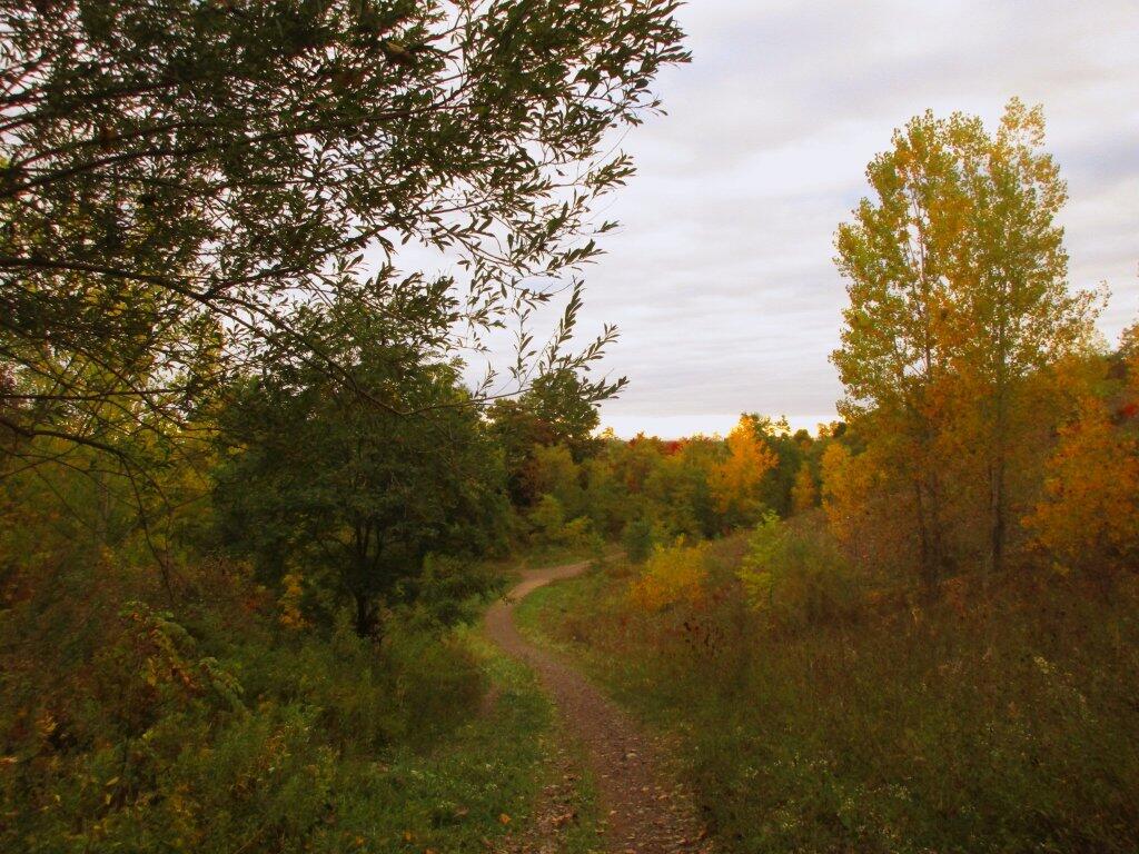Photo: Starting To Get Some Better Colors
