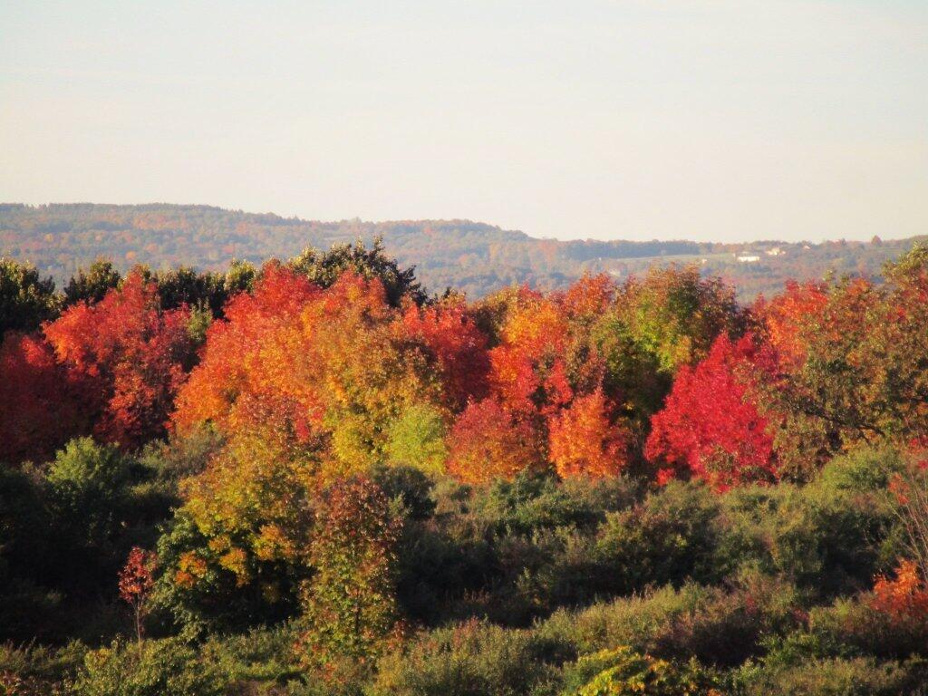 Photo: Hills