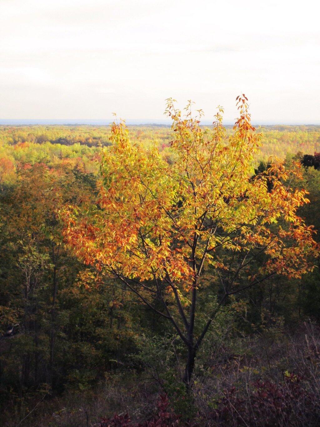 Photo: Off The Gravel Pit