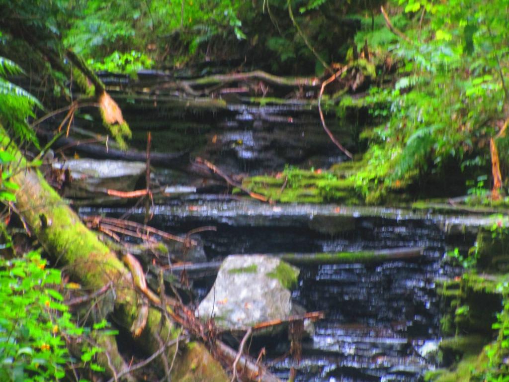 Photo: Gorge Trail Falls